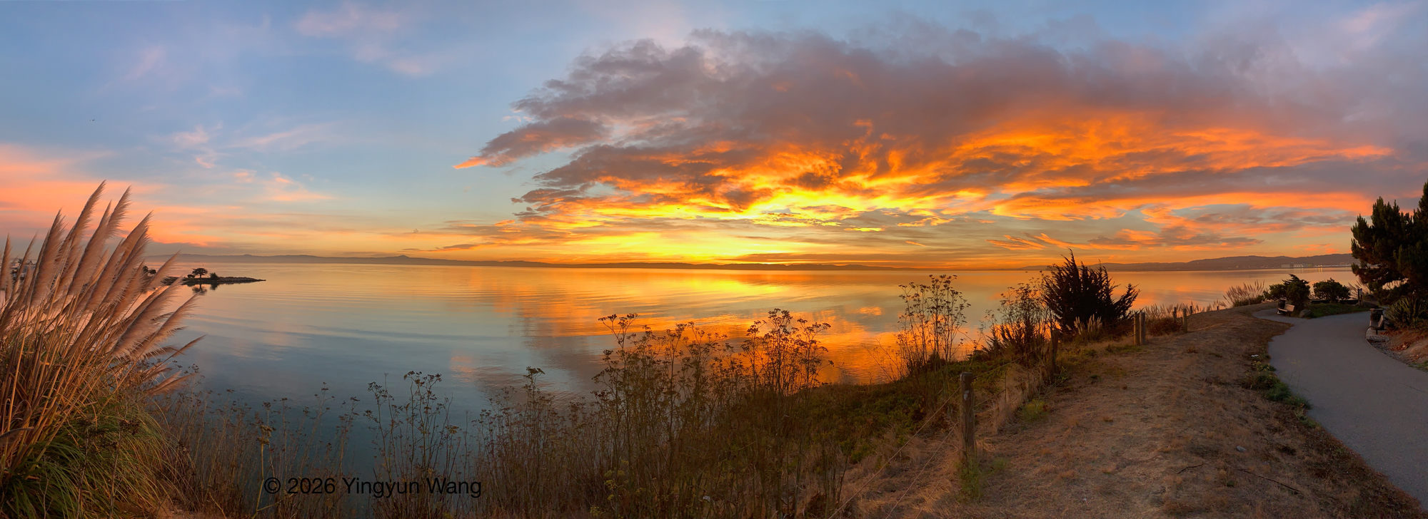 A wide panoramic view of a calm body of water at sunrise. The sky transitions from pale blue to vivid orange and gold, with dramatic clouds glowing from the rising sun near the horizon. The warm colors are reflected clearly on the smooth water. Tall grasses and wild plants line the shoreline in the foreground. On the right, a narrow dirt path curves along the water’s edge, bordered by low vegetation and a few trees. Distant land is visible across the horizon.